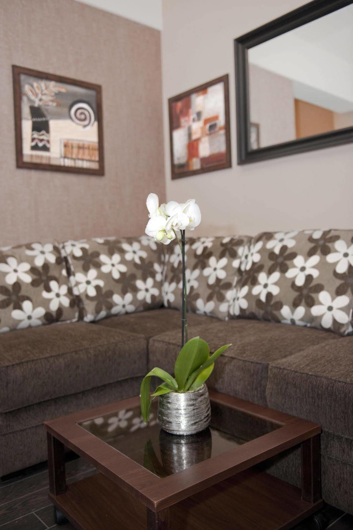 Hotel Check Inn Timisoara Bagian luar foto